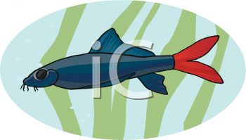 Fish and Sea Life Clipart