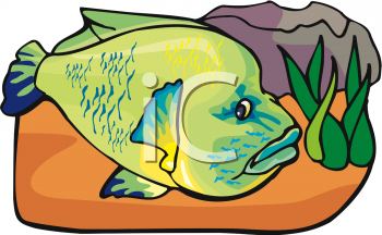 Fish and Sea Life Clipart