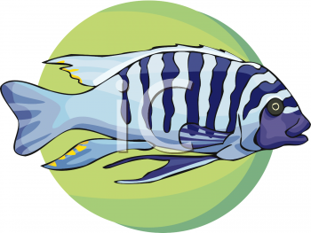 Fish and Sea Life Clipart