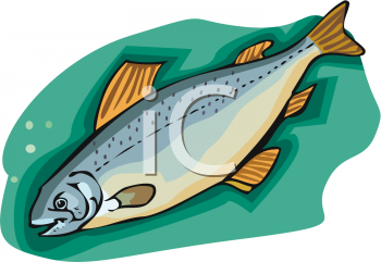 Fish and Sea Life Clipart