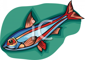 Fish and Sea Life Clipart