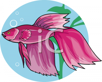 Fish and Sea Life Clipart