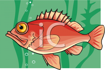 Fish and Sea Life Clipart