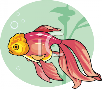 Fish and Sea Life Clipart