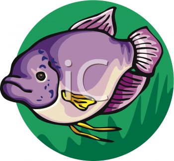 Fish and Sea Life Clipart