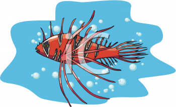 Fish and Sea Life Clipart