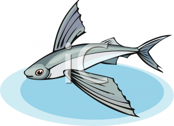 Fish and Sea Life Clipart