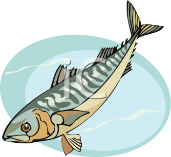 Fish and Sea Life Clipart