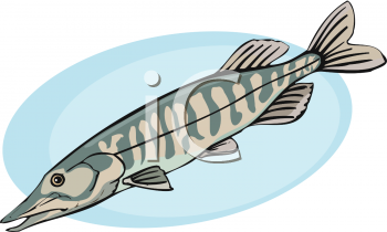 Fish and Sea Life Clipart