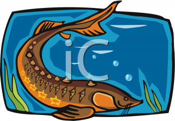 Fish and Sea Life Clipart