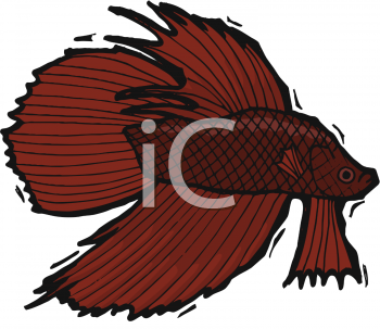 Fish and Sea Life Clipart