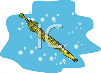 Fish and Sea Life Clipart