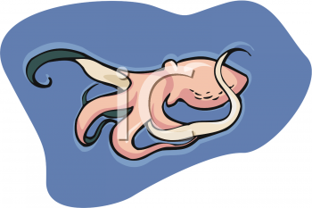 Fish and Sea Life Clipart