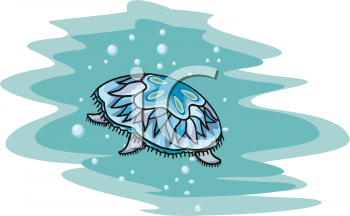 Fish and Sea Life Clipart