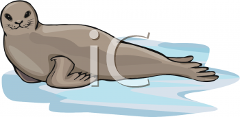 Fish and Sealife Clipart