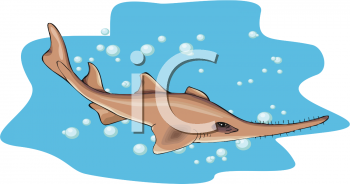 Fish and Sea Life Clipart