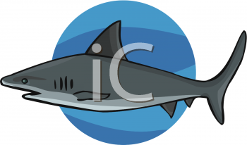 Fish and Sea Life Clipart