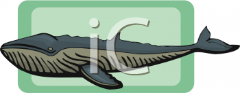 Fish and Sealife Clipart