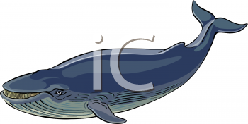 Fish and Sealife Clipart