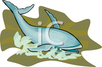 Fish and Sea Life Clipart