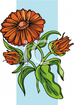 Flower Clipart