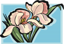 Flower Clipart