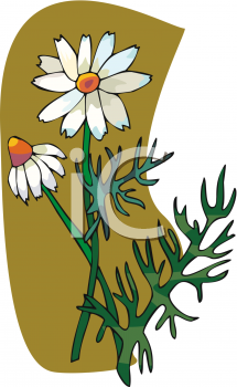 Flower Clipart