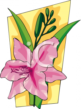 Flower Clipart