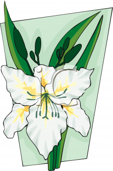 Flower Clipart