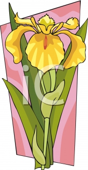 Flower Clipart