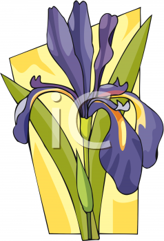 Flower Clipart