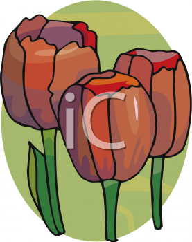 Flower Clipart