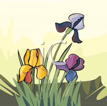 Flower Clipart