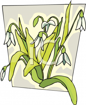 Flower Clipart