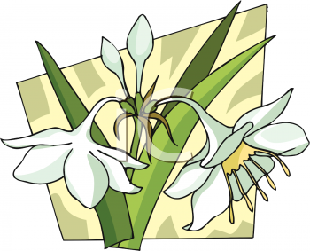 Flower Clipart