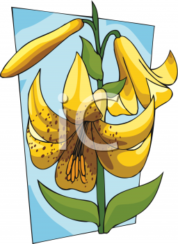 Flower Clipart