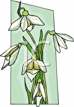 Flower Clipart