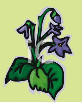 Flower Clipart