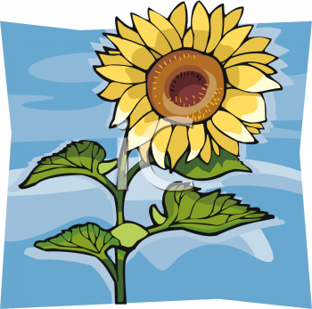 Flower Clipart