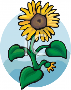 Flower Clipart