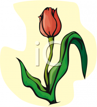 Flower Clipart