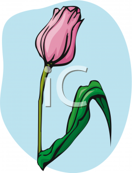 Flower Clipart