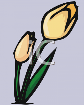 Flower Clipart