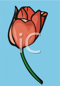 Flower Clipart