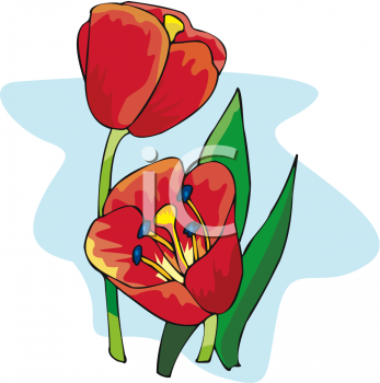 Flower Clipart