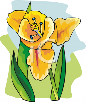 Flower Clipart