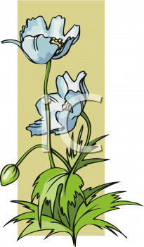 Flower Clipart