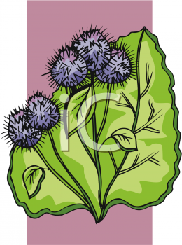 Flower Clipart