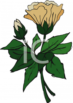 Flower Clipart