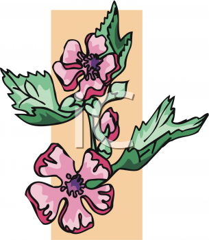 Flower Clipart